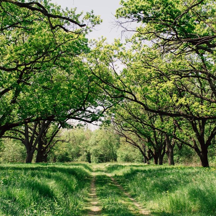 National parks landscape